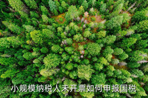 不征稅發(fā)票 如何申報，零星的銷售對方不要發(fā)票怎么報稅