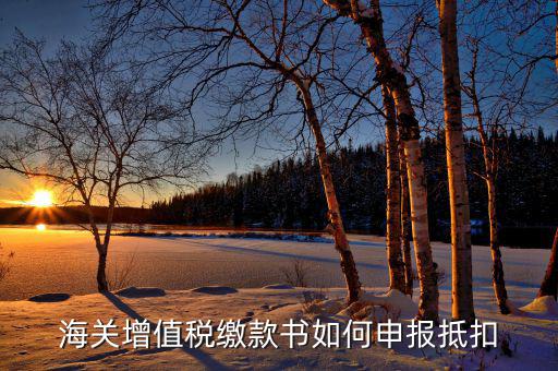 海關(guān)增值稅如何抵扣，海關(guān)增值稅繳款書如何申報抵扣