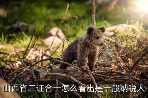 山西省如何查詢納稅人，為什么山西國稅發(fā)票無法查詢真?zhèn)?/></a></span><span id=