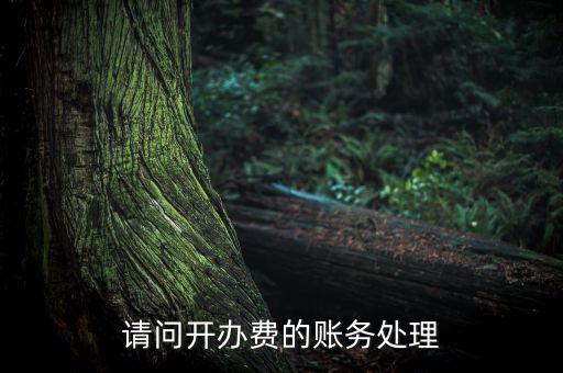 開辦費(fèi)如何處理，請問開辦費(fèi)的賬務(wù)處理