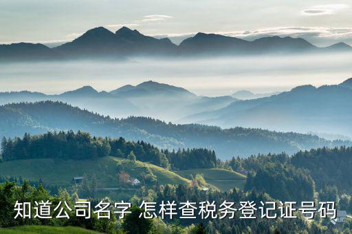 如何查稅務(wù)登記證國稅電腦編碼，三證合一后國稅編碼怎么查在線等急