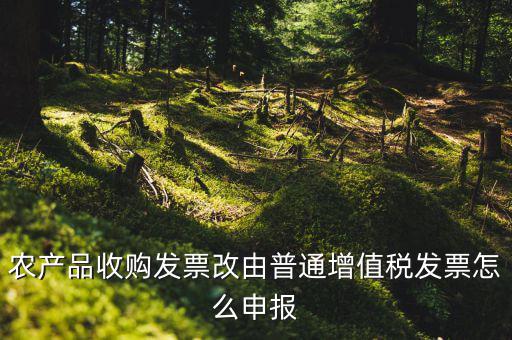 農(nóng)產(chǎn)品收購發(fā)票如何申報，農(nóng)產(chǎn)品收購發(fā)票如何開