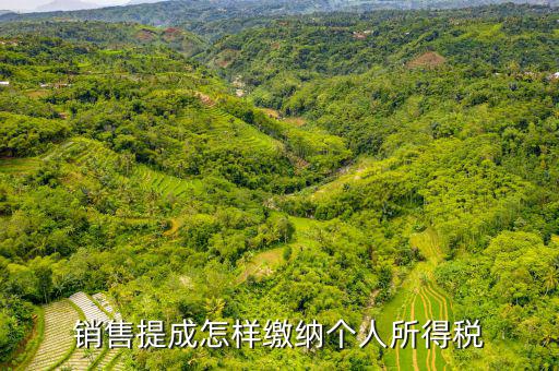 支付個人的銷售回扣如何征收個稅，付別人回扣5791462元 如何扣取個人所得稅請老師詳解在此感