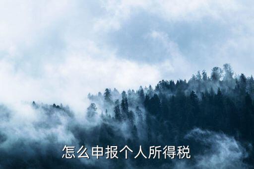 如何申報個人所得稅，怎么申報個人所得稅