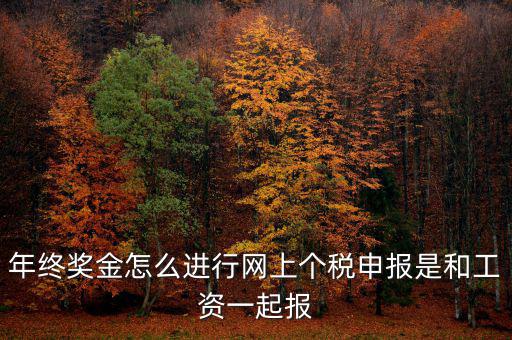 年終獎(jiǎng)個(gè)稅如何申報(bào)，年終獎(jiǎng)怎樣申報(bào)個(gè)稅