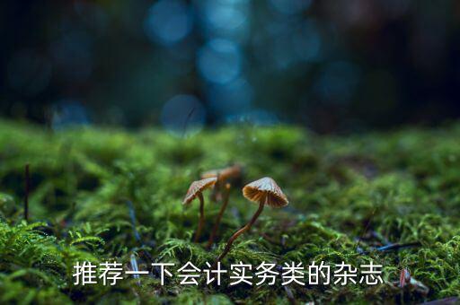 納稅這個期刊如何，推薦一下會計實務類的雜志