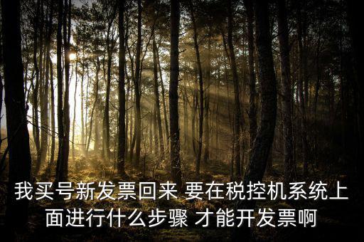 稅控系統(tǒng)如何開票，我買號(hào)新發(fā)票回來(lái) 要在稅控機(jī)系統(tǒng)上面進(jìn)行什么步驟 才能開發(fā)票啊
