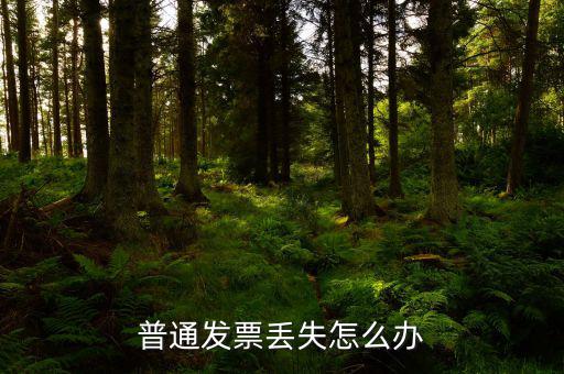 普票發(fā)票聯(lián)丟失如何入賬，企業(yè)開具的增值稅普通發(fā)票記賬聯(lián)丟失怎么處理