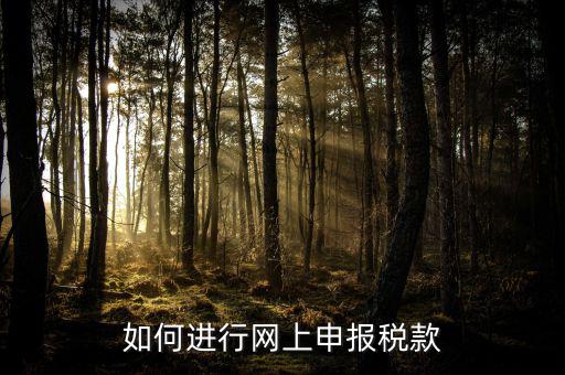 網(wǎng)上申報系統(tǒng)如何報稅，如何進行網(wǎng)上申報稅款