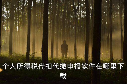 代扣代繳國(guó)稅如何申報(bào)系統(tǒng)下載，國(guó)稅增值稅小規(guī)模稅務(wù)電子申報(bào)軟件在哪里下載呢