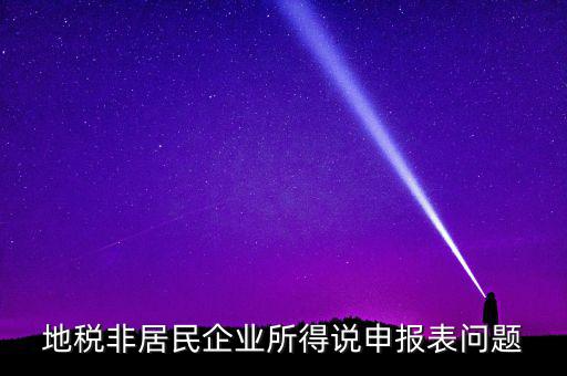 扣繳非居民所得稅報告表指什么，扣繳個人所得稅報告表30