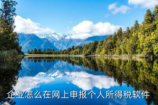 如何網(wǎng)上申報個人所得稅，如何網(wǎng)上申報個人所的稅