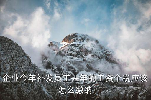 補(bǔ)發(fā)一年工資如何算稅，補(bǔ)發(fā)員工以前年度工資如何繳納個(gè)稅