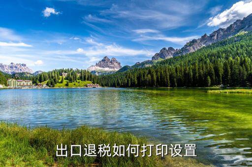 如何打印出口退稅備案表，出口退稅系統(tǒng)內(nèi)的增值稅申報(bào)表如何打印