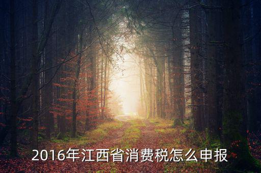 2016年江西省消費(fèi)稅怎么申報