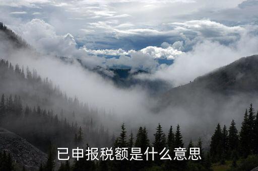 武漢稅務(wù)年報(bào)是什么意思，報(bào)告年度所得稅什么意思