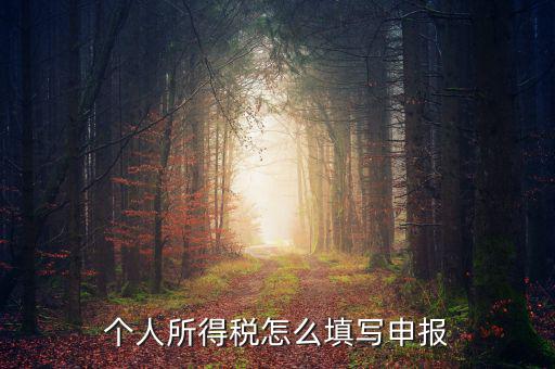 單位如何申報(bào)個人所得稅，個人所得稅 工資薪金所得 怎么申報(bào)