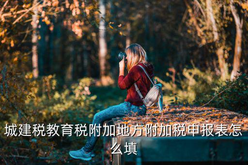 新城建稅附加表如何填，網(wǎng)上申報(bào)城建稅教育附加稅怎么填
