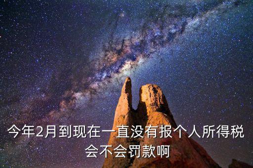 個稅申報不報會如何，個人所得稅自行申報不去做有什么危害