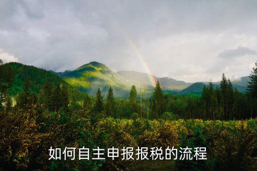 如何進(jìn)行稅務(wù)申報(bào)，個體戶如何申報(bào)稅