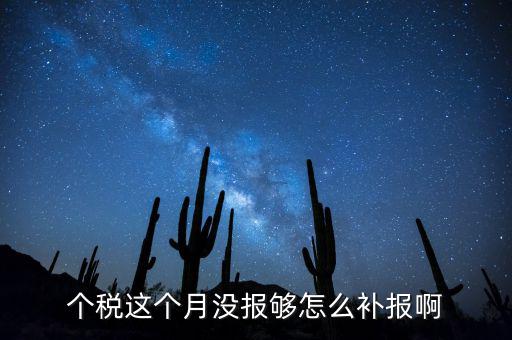 如何補(bǔ)報(bào)個(gè)人所得稅，個(gè)人所得稅報(bào)錯了怎么補(bǔ)報(bào)