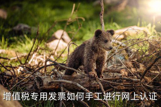 如何手工認證發(fā)票，網上發(fā)票認證怎么手工輸入
