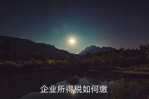 企業(yè)所得稅如何繳稅，企業(yè)所得稅如何繳納