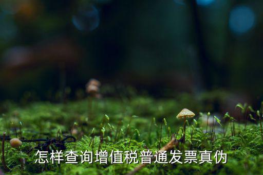 稅務局如何查發(fā)票真假，如何查稅務發(fā)票真假