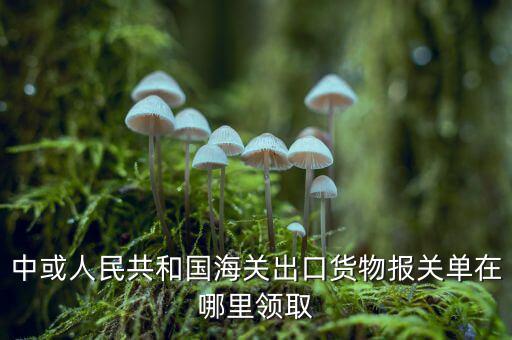 出口報(bào)關(guān)單如何取得，中或人民共和國(guó)海關(guān)出口貨物報(bào)關(guān)單在哪里領(lǐng)取