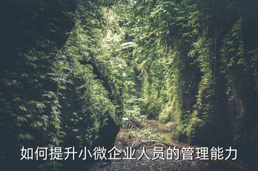 如何加強小型微利企業(yè)管理，如何提升小微企業(yè)人員的管理能力