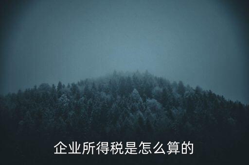 公司所得稅如何計算，企業(yè)所得稅該怎么計算
