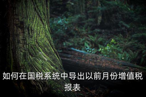 如何導(dǎo)出增值稅申報(bào)表，如何在國(guó)稅系統(tǒng)中導(dǎo)出以前月份增值稅報(bào)表