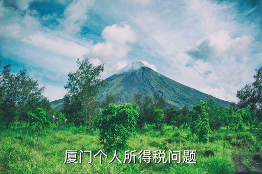 廈門企業(yè)個稅如何申報，廈門個人所得稅問題