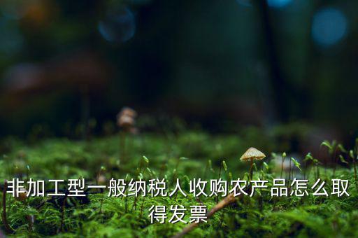 農(nóng)產(chǎn)品收購發(fā)票如何，農(nóng)產(chǎn)品收購發(fā)票如何開