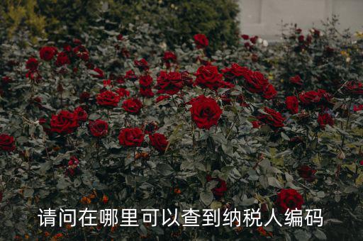教您如何查詢納稅人代碼，忘記稅務(wù)征收機(jī)關(guān)代碼
