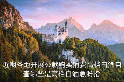 稅局如何排查高檔白酒，公款禁買高檔酒可行嗎能實施成功嗎