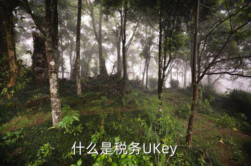 稅務局ukey是什么，什么是稅務UKey