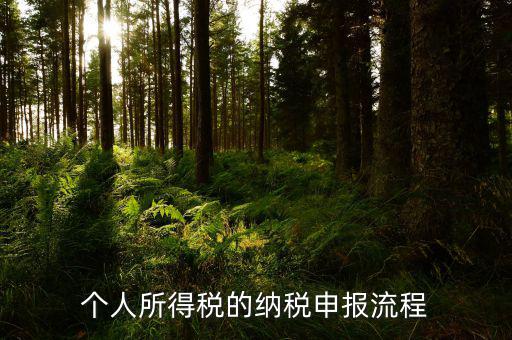 當月在要申報個稅如何操作，當月工資未發(fā)怎樣申報個人所得稅