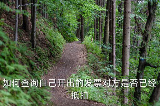 如何查詢已抵扣發(fā)票，怎么查詢開出的發(fā)票有沒有被抵扣