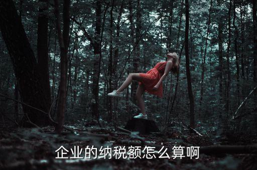企業(yè)納稅如何計(jì)算，企業(yè)的納稅額怎么算啊