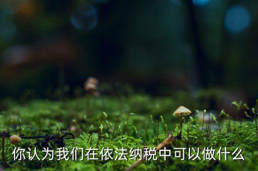 如何做到依法納稅，你認(rèn)為我們?cè)谝婪{稅中可以做什么