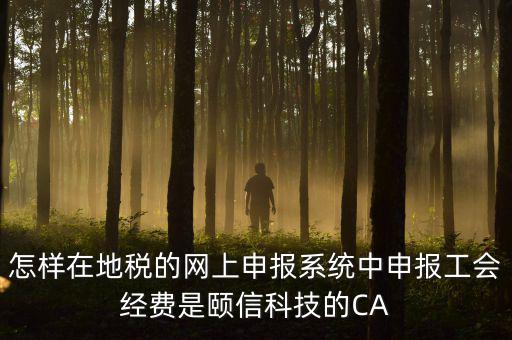 工會(huì)經(jīng)費(fèi)如何網(wǎng)上申報(bào)，怎樣在地稅的網(wǎng)上申報(bào)系統(tǒng)中申報(bào)工會(huì)經(jīng)費(fèi)是頤信科技的CA