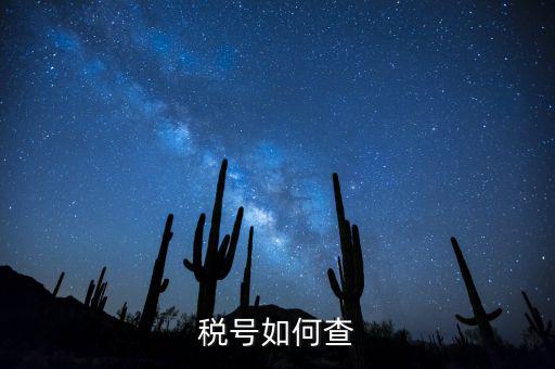 發(fā)票稅號(hào)如何查詢系統(tǒng)，開(kāi)發(fā)票不知道客戶的稅號(hào)應(yīng)該怎么查