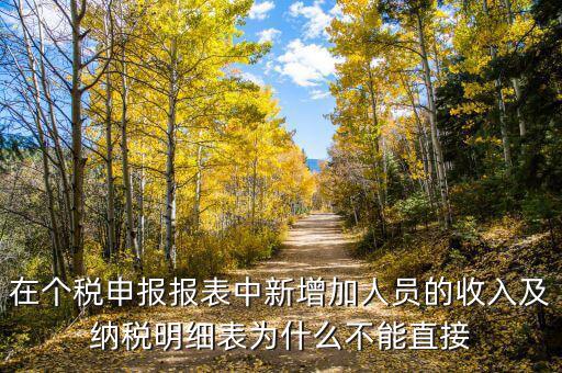 個(gè)稅申報(bào)如何增加新納稅人，在個(gè)稅申報(bào)報(bào)表中新增加人員的收入及納稅明細(xì)表為什么不能直接