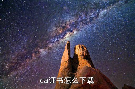如何下載國(guó)稅ca證書(shū)，ca證書(shū)怎么下載