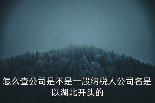 如何查詢企業(yè)是否是一般納稅人，怎么查公司是不是一般納稅人公司名是以湖北開頭的