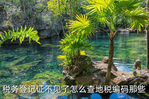 如何查地稅編碼，五證合一后地稅編碼怎么查