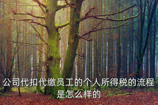 如何代扣代繳個(gè)人所得稅，代扣代繳個(gè)人所得稅