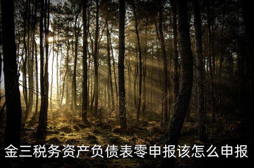 金稅三期如何零申報(bào)，金三稅務(wù)系統(tǒng)零申報(bào)需要報(bào)什么