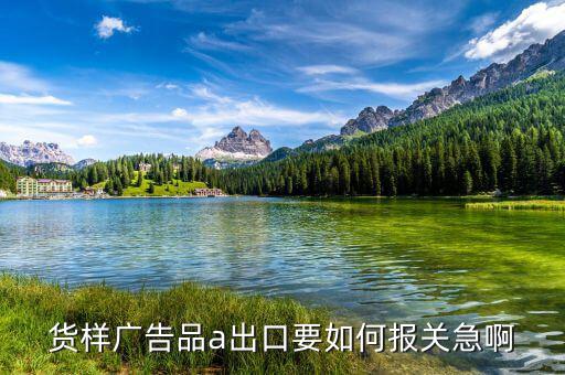 貨樣廣告品a如何申報，貨樣廣告品a出口要如何報關(guān)急啊